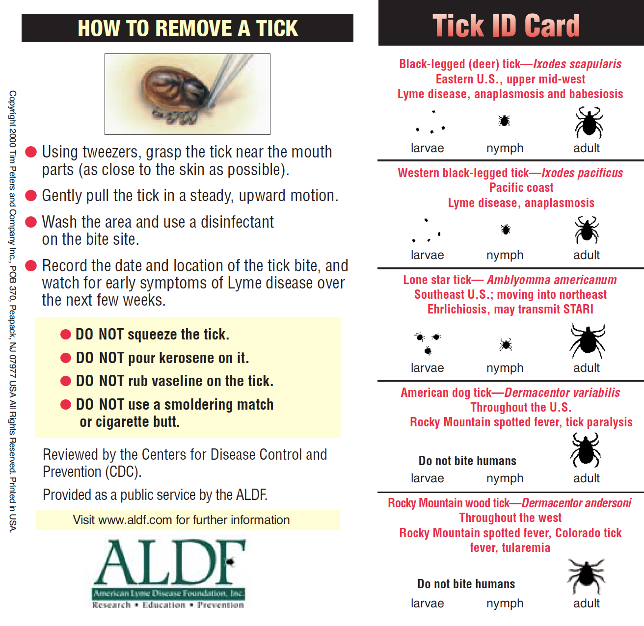 Tick Information & Removal 